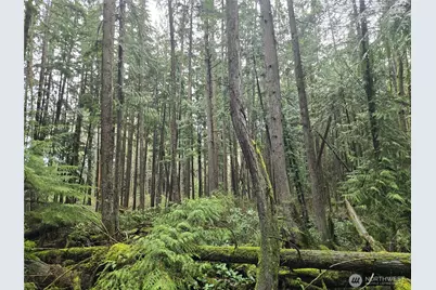 17425 McElroy Road, Arlington, WA 98223 - Photo 26