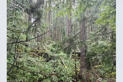 17425 McElroy Road, Arlington, WA 98223 - Photo 20