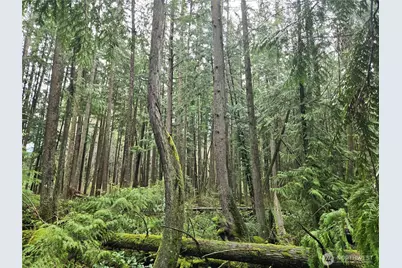 17425 McElroy Road, Arlington, WA 98223 - Photo 24