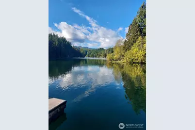 210 N Dow Creek Drive, Hoodsport, WA 98548 - Photo 2