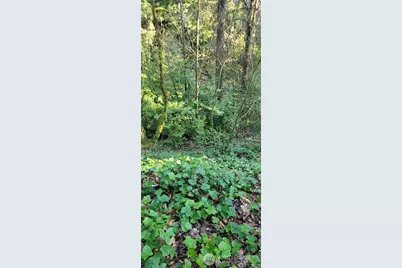 1317 Wildwood Boulevard SW, Issaquah, WA 98027 - Photo 2