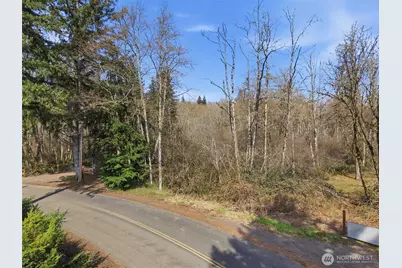 0 Xxx Viewridge Road, Onalaska, WA 98570 - Photo 10