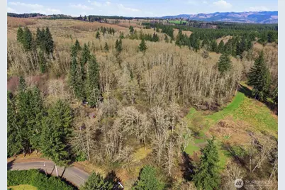0 Xxx Viewridge Road, Onalaska, WA 98570 - Photo 8