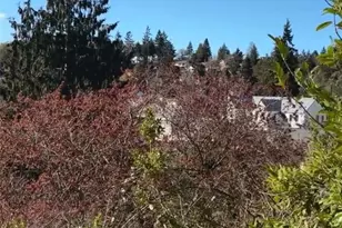 4546 47th Ave SW, Seattle, WA 98116 - Photo 6