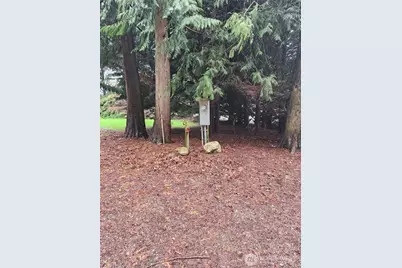 10115 226th Avenue Ct E, Buckley, WA 98321 - Photo 4