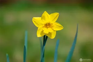 125 Ridgeview St, Sumas, WA 98295 - Photo 40