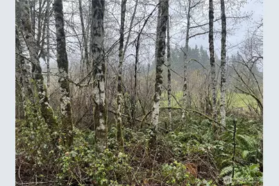 2625 Stonecrest Lane NW, Olympia, WA 98502 - Photo 1