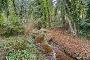 14708 97th Ave Ct NW, Gig Harbor, WA 98329 - Photo 34