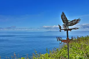 795 Fort Ebey Rd, Coupeville, WA 98239 - Photo 40