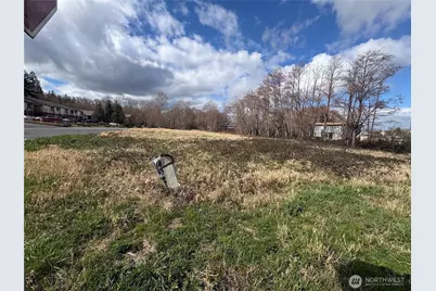 0 William Way, Mount Vernon, WA 98273 - Photo 4