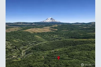 355 E Ragland Road, Longview, WA 98632 - Photo 18