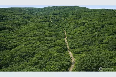 355 E Ragland Road, Longview, WA 98632 - Photo 10