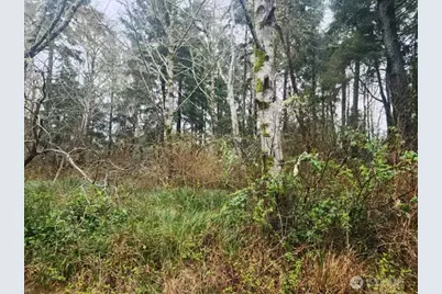 670 Weatherwax Loop NE, Ocean Shores, WA 98569 - Photo 1
