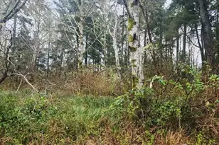 670 Weatherwax Loop NE, Ocean Shores, WA 98569 - Photo 1