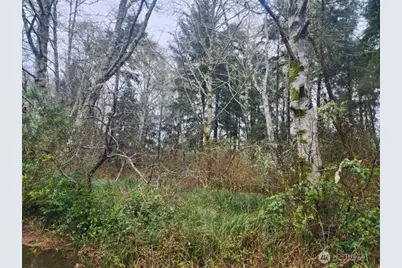 670 Weatherwax Loop NE, Ocean Shores, WA 98569 - Photo 2