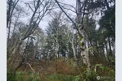 670 Weatherwax Loop NE, Ocean Shores, WA 98569 - Photo 4