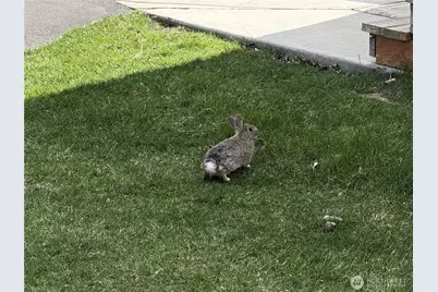 31465 Moore Road NE #801, Coulee City, WA 99115 - Photo 34