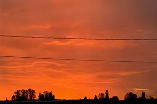 19500 Dahlstedt Rd, Burlington, WA 98233 - Photo 4