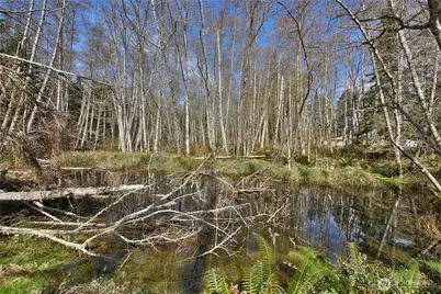 401 Gramayre Road, Coupeville, WA 98239 - Photo 8