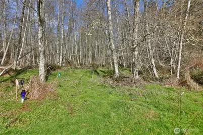 401 Gramayre Road, Coupeville, WA 98239 - Photo 4