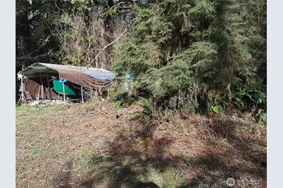 8535 Beaver Place, Marblemount, WA 98267 - Photo 6