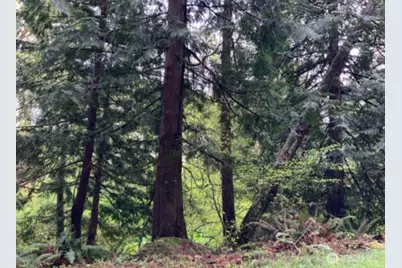 0 D Street, Bellingham, WA 98225 - Photo 1
