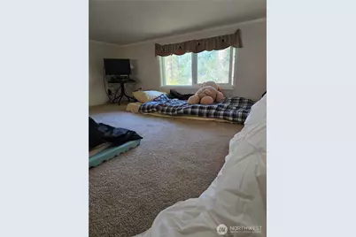 44832 Kloshe Chuck Trail, Concrete, WA 98237 - Photo 10