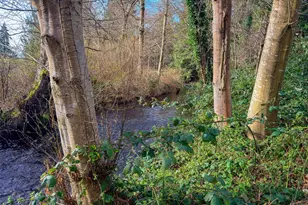 40 Glen Ave, Chimacum, WA 98325 - Photo 4