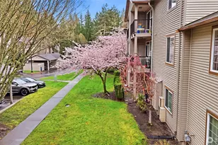 25025 SE Klahanie Blvd, Sammamish, WA 98029 - Photo 24