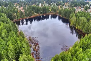 25025 SE Klahanie Blvd, Sammamish, WA 98029 - Photo 36