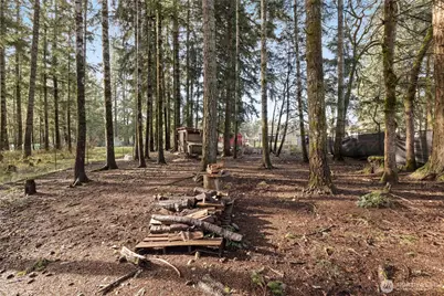 1520 E Shelton Springs Road, Shelton, WA 98584 - Photo 30