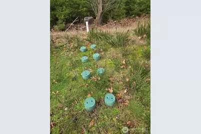 1801 E Crestview Drive, Shelton, WA 98584 - Photo 6