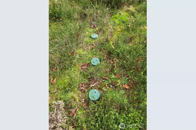 1801 E Crestview Drive, Shelton, WA 98584 - Photo 8