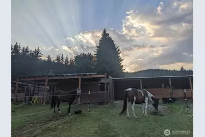 5334 Tenneson Road, Sedro Woolley, WA 98284 - Photo 38