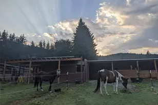 5334 Tenneson Rd, Sedro Woolley, WA 98284 - Photo 38