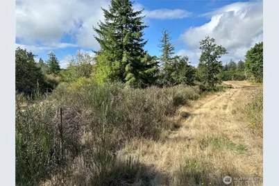 0 Dannie Womer Lane, Oakville, WA 98568 - Photo 1