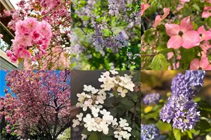 1609 217th Pl NE, Sammamish, WA 98074 - Photo 32