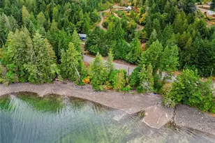 304314 Hwy 101, Brinnon, WA 98320 - Photo 26