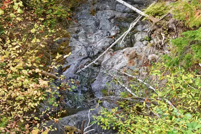 304292 Highway 101, Brinnon, WA 98320 - Photo 4