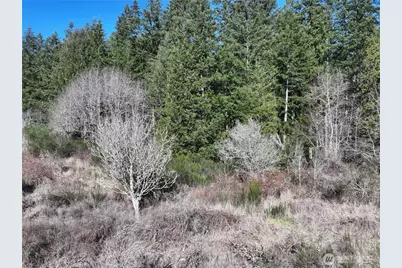 0 Xxx Sr 525 Road, Langley, WA 98260 - Photo 20