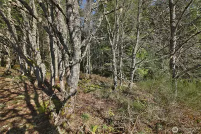 0 Xxx Sr 525 Road, Langley, WA 98260 - Photo 12