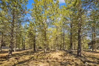 381 Gold Leaf Lane, Cle Elum, WA 98922 - Photo 4