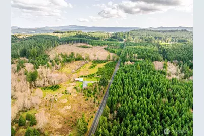 946 Paine Road, Castle Rock, WA 98611 - Photo 40