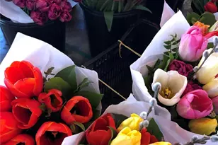 66 Bell St, Seattle, WA 98053 - Photo 20