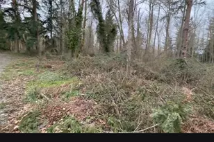 37116 E 103rd Ave Ct, Eatonville, WA 98328 - Photo 1