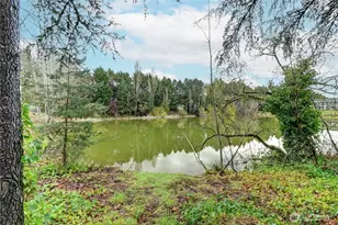 18621 Blueberry Ln, Monroe, WA 98272 - Photo 24