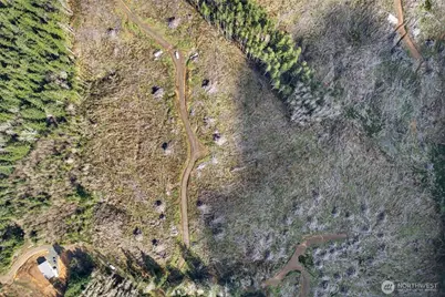 0 Luttrell Lane, Chinook, WA 98614 - Photo 10