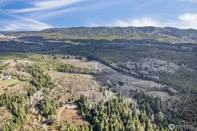 0 Luttrell Lane, Chinook, WA 98614 - Photo 8