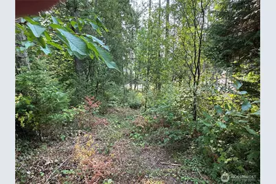 0 E Tall Timber Lane, Shelton, WA 98584 - Photo 16
