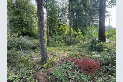 0 E Tall Timber Lane, Shelton, WA 98584 - Photo 14